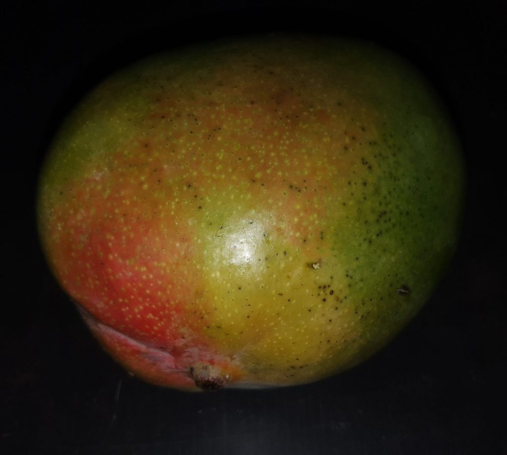 frische Mango auf schwarzem Hintergrund