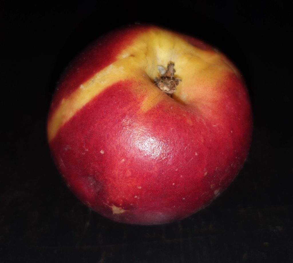 frische Nektarine auf schwarzem Hintergrund